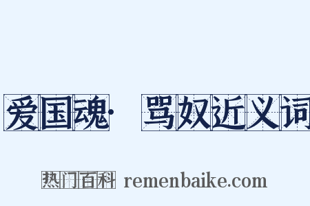 爱国魂·骂奴近义词是什么意思的图片